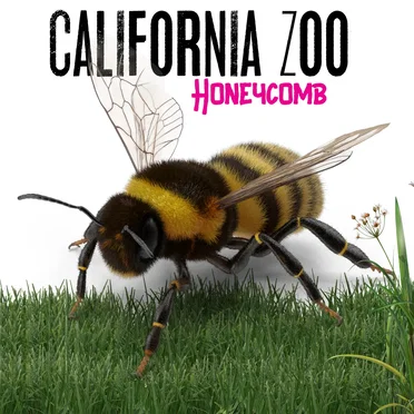 Honeycomb by California Zoo - album cover