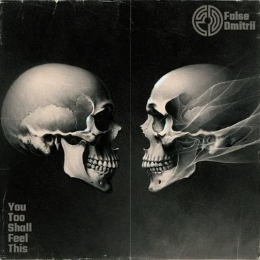 You Too Shall Feel This by False Dmitrii - album cover