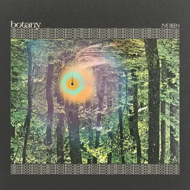 I've Been by Botany - album cover