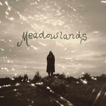 Meadowlands by Moon Mother - album cover
