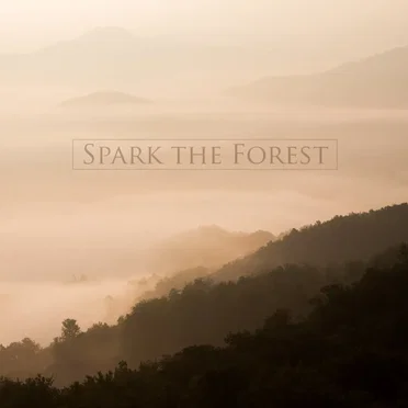 Spark the Forest