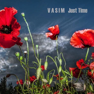 Just Time by Vasim - album cover