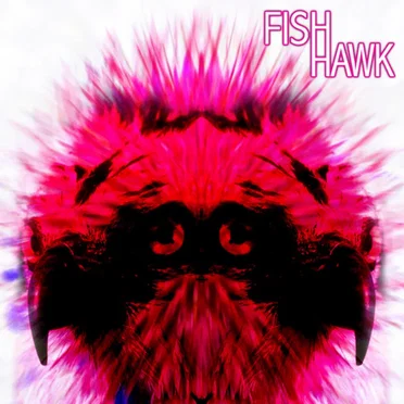 Fishhawk