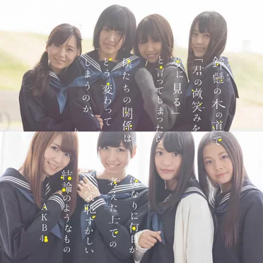 鈴懸の木の道で「君の微笑みを夢に見る」と言ってしまったら僕たちの関係はどう変わってしまうのか、僕なりに何日か考えた上でのやや気恥ずかしい結論のようなもの by AKB48 - album cover
