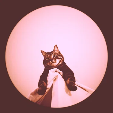 Best Hits by Soltero - album cover