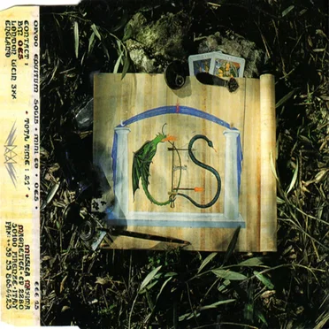 OES Mini CD