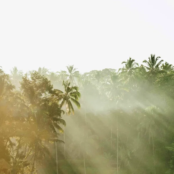 Interlude to Infinity, pt. 1