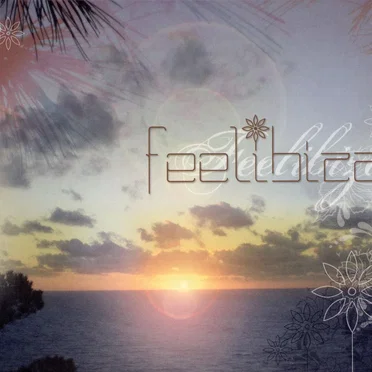 Feelibiza by Various Artists - album cover