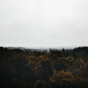 Breath of Wind