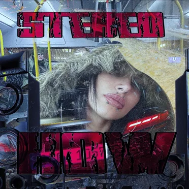 stereo how by SLUttButtErfly - album cover