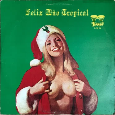 Feliz año tropical by Various Artists - album cover