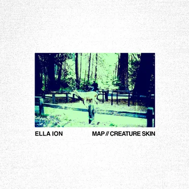 Ella Ion