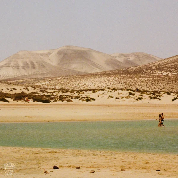 desert dreams