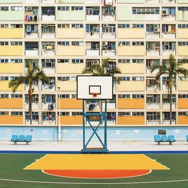 Color for Everyday Life