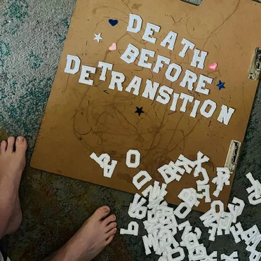 Death Before Detransition by She Killed Sheila - album cover