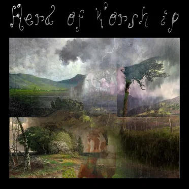 VIII. Reaches for Rain Fallen From the Top, Graced Again With Its Patter