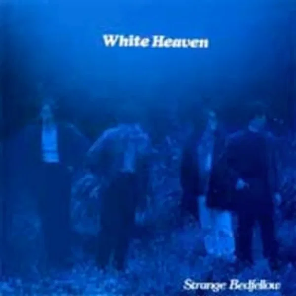 Strange Bedfellow