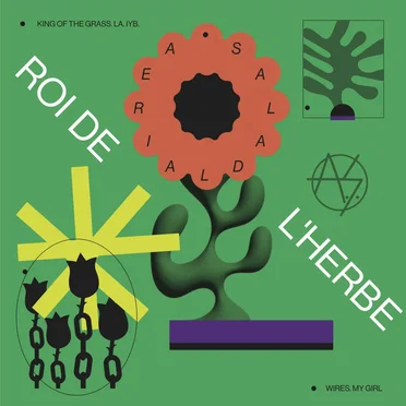 Roi De L'Herbe by Aerial Salad - album cover