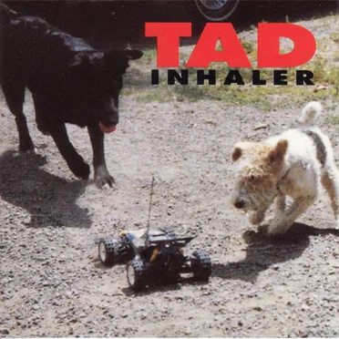 Inhaler
