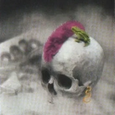 Wory Zover by Dr. Skull - album cover