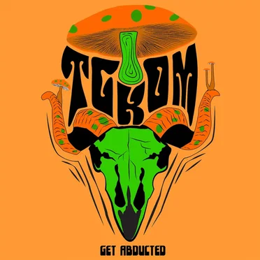 Get Abducted by The Good Kind of Mushroom - album cover