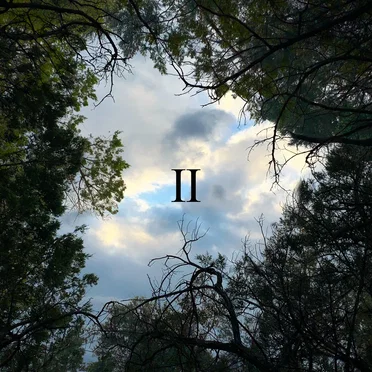 II by cinquemani - album cover