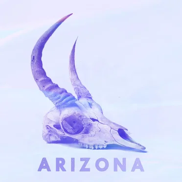 Arizona