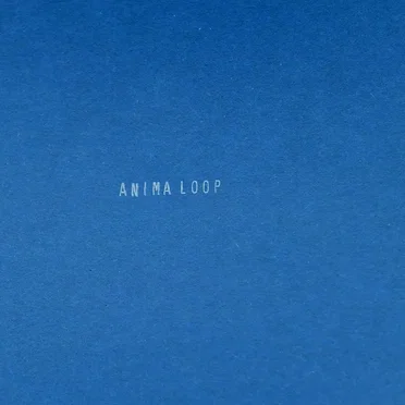 ANIMA LOOP