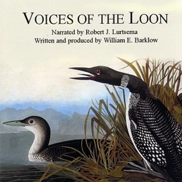 Voices of the Loon