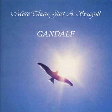 More Than Just a Seagull