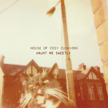 Haunt Me Sweetly by House of Cosy Cushions - album cover