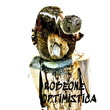 Optimistica