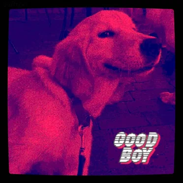 GOoD boY