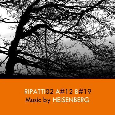 Ripatti02 by Heisenberg - album cover