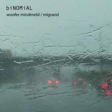 woofer mindmeld / migrand by biNOMiAL - album cover