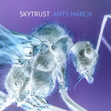 Ants March