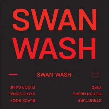 Swan Wash by Swan Wash - album cover