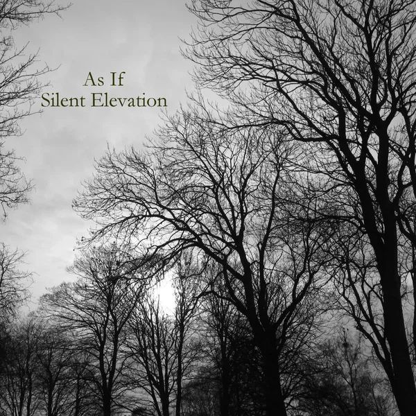 Silent Elevation