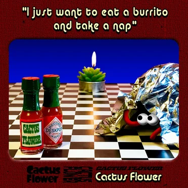 i just want to eat a burrito and take a nap
