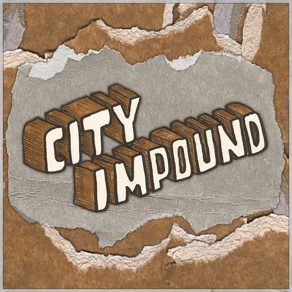 city impound