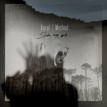 Slumber, Savage Beasts by Aural Method - album cover