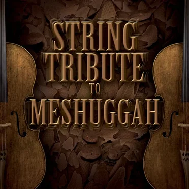 String Tribute to Meshuggah