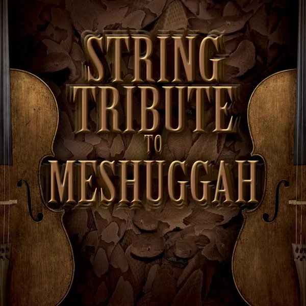 String Tribute to Meshuggah