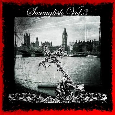 Swenglish Vol.3 by Various Artists - album cover