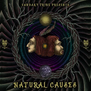 Natural Causes by Various Artists - album cover