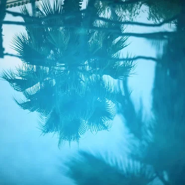 Enchanted