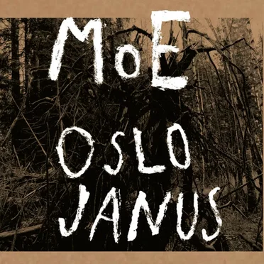 Oslo Janus (II)