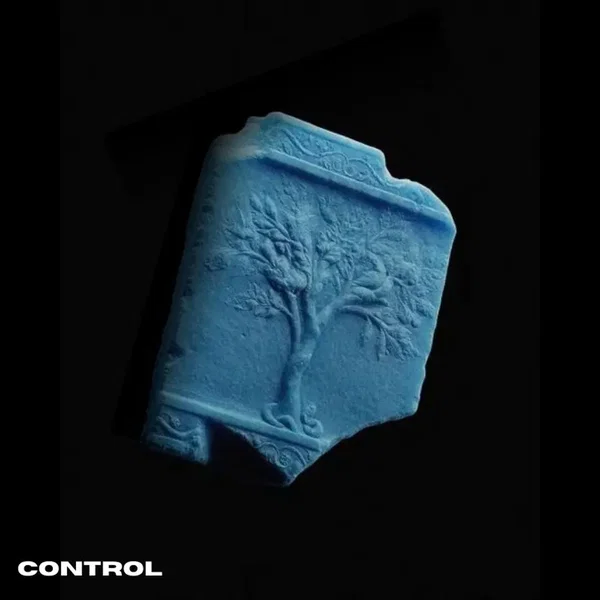 CONTROL