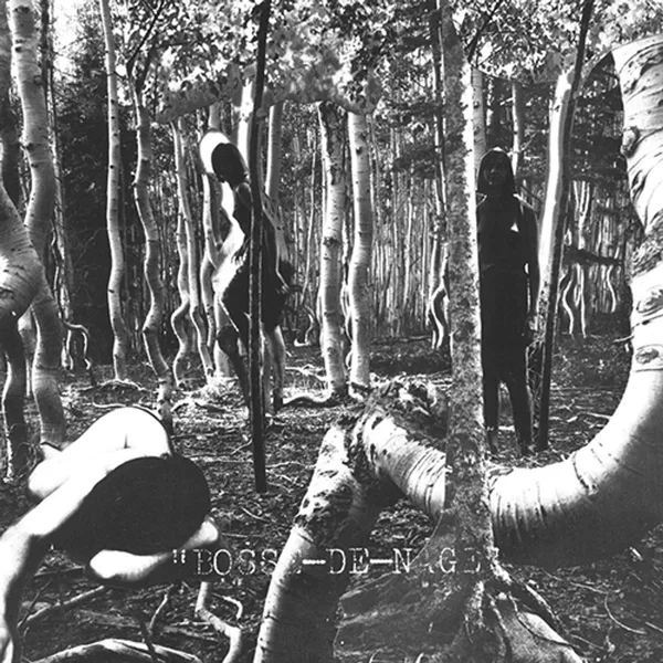 Bosse‐de‐Nage