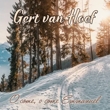 Gert van Hoef